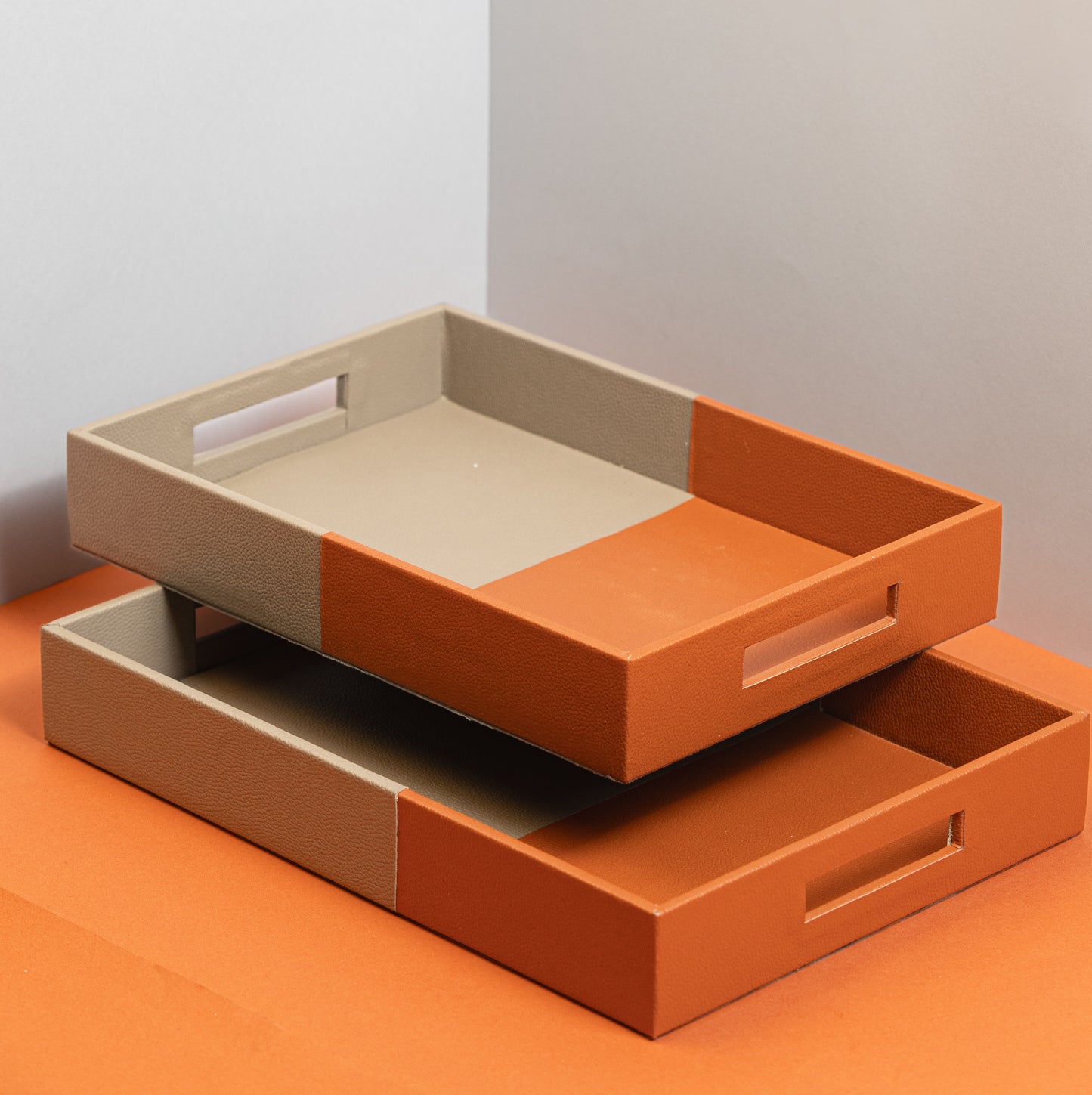 Twin Coloured Tray Set
