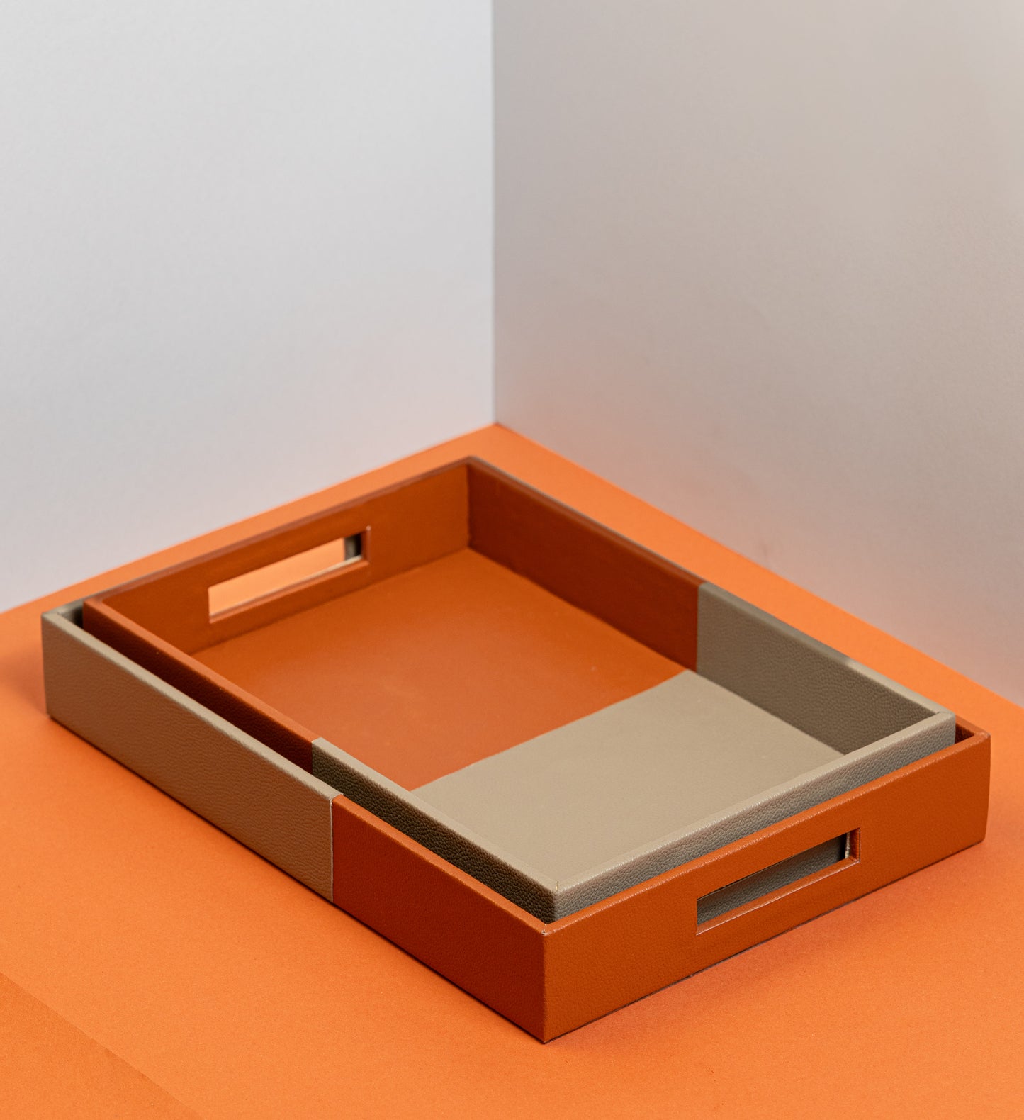 Twin Coloured Tray Set