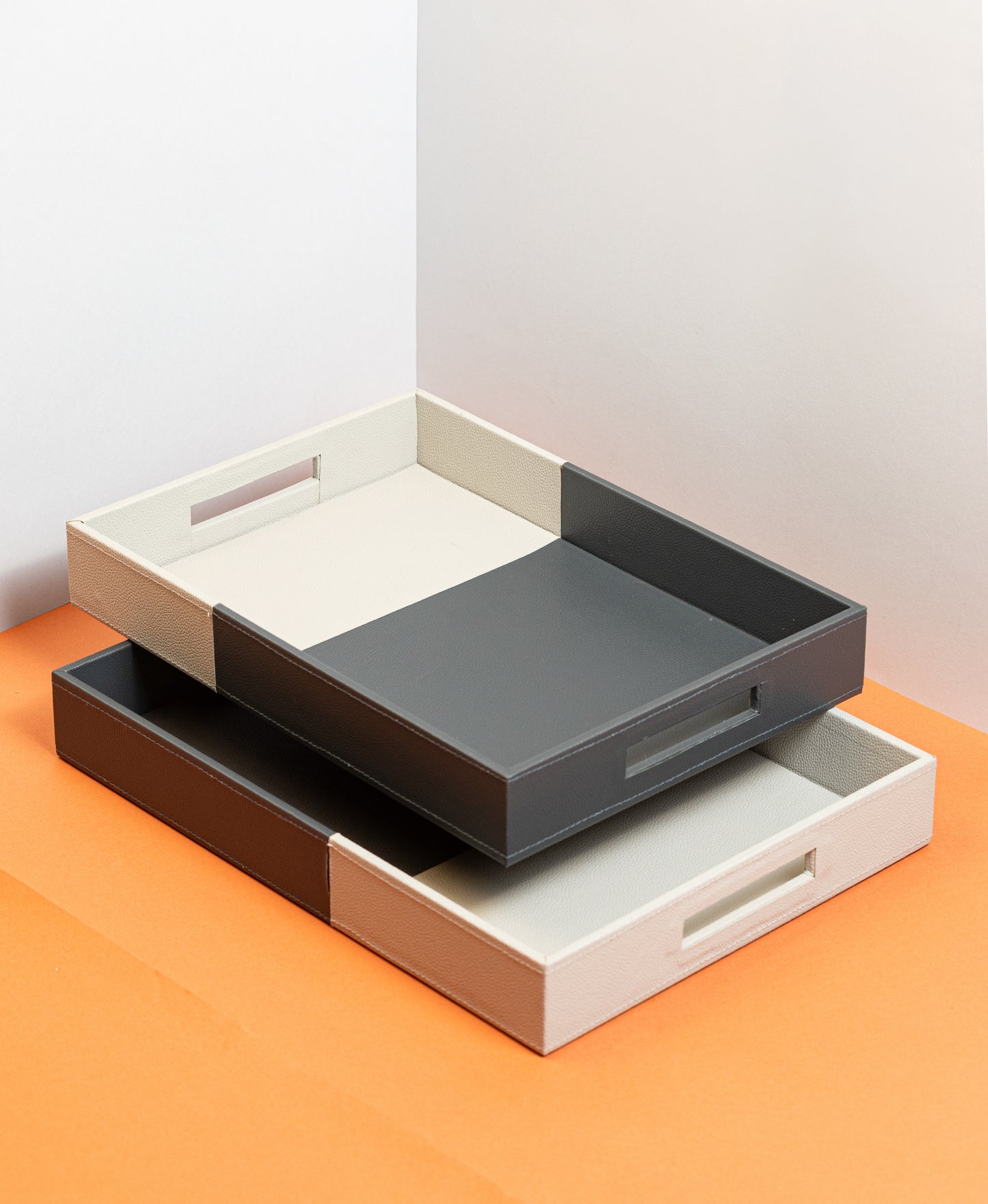 Twin Coloured Tray Set