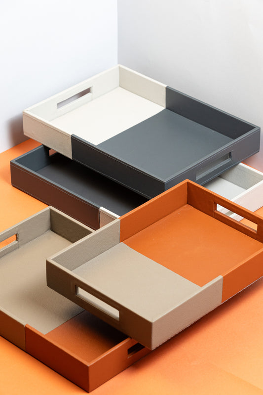 Twin Coloured Tray Set